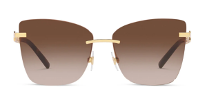 DOLCE GABBANA 2289 02/13 59